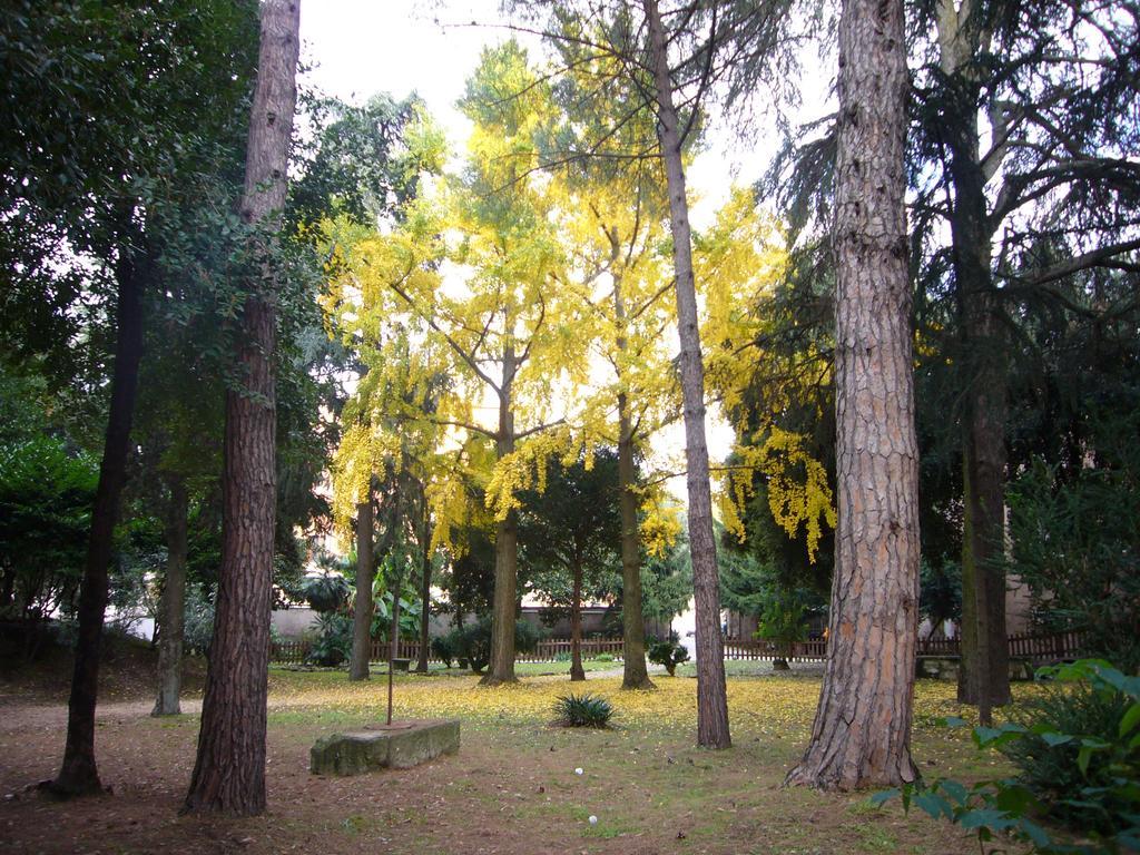 Villa Altieri Albano Laziale Exterior foto